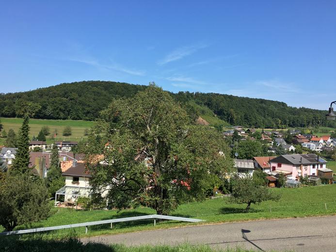 Haus zu verkaufen in Arisdorf - Smart Propylaia (4)