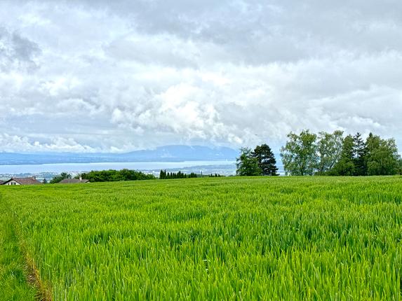 Appartement à vendre à Bassins