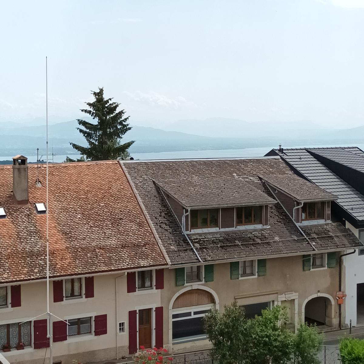 In vendita   Svizzera - collaborazione con il portale immobiliare Smart-Propylaia