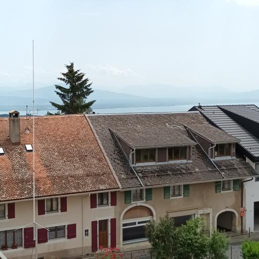 Wohnung zu verkaufen in Le Vaud - Smart Propylaia (8)