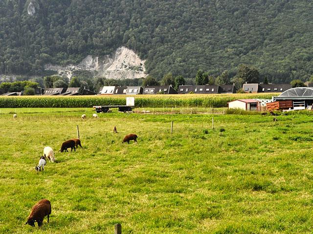 A vendre   Suisse - cChic-immoHub votre portail immobilier