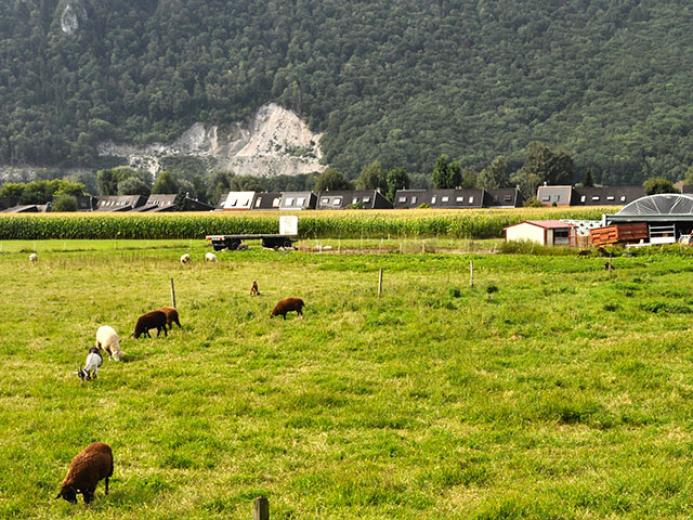 Terreno in vendita a Bouveret - Smart Propylaia (3)