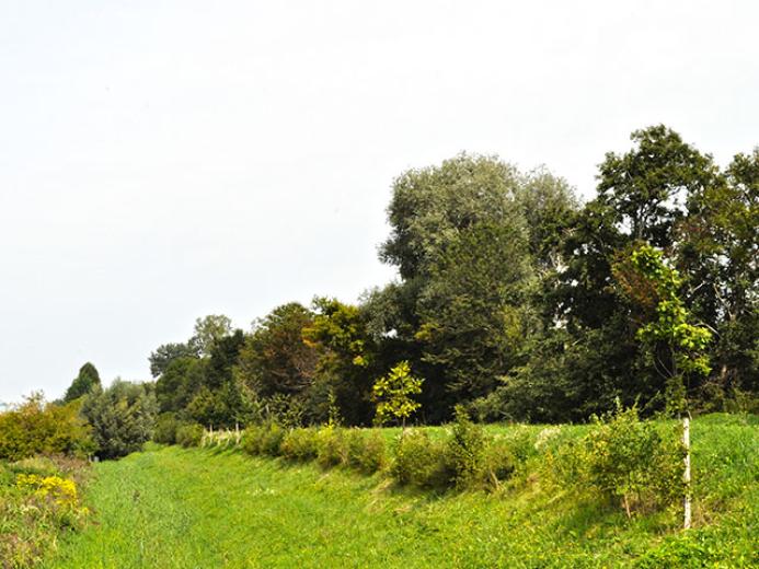 Terreno in vendita a Bouveret - Smart Propylaia