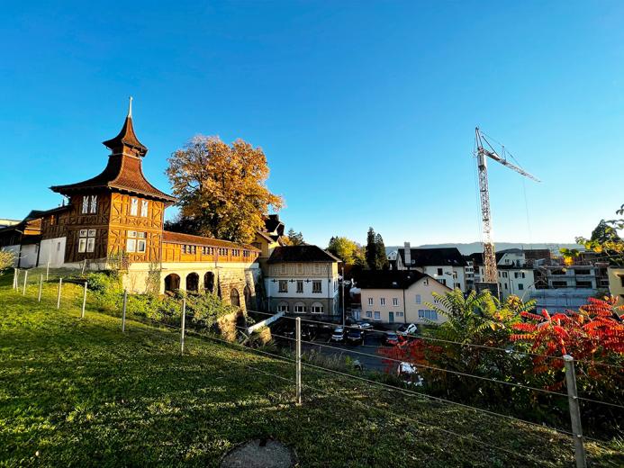 Haus zu verkaufen in Rüti ZH - RÜTI - HERRLICHES HAUS - 7 ZIMMER - Smart Propylaia (3)