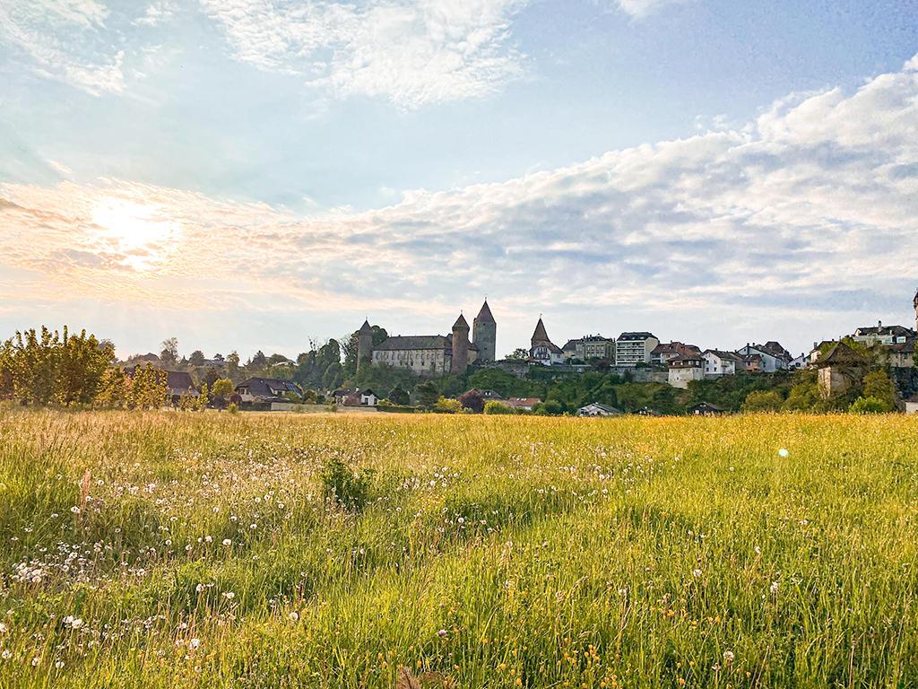 Zu verkaufen   Schweiz - cChic-immoHub Ihr Immobilienportal
