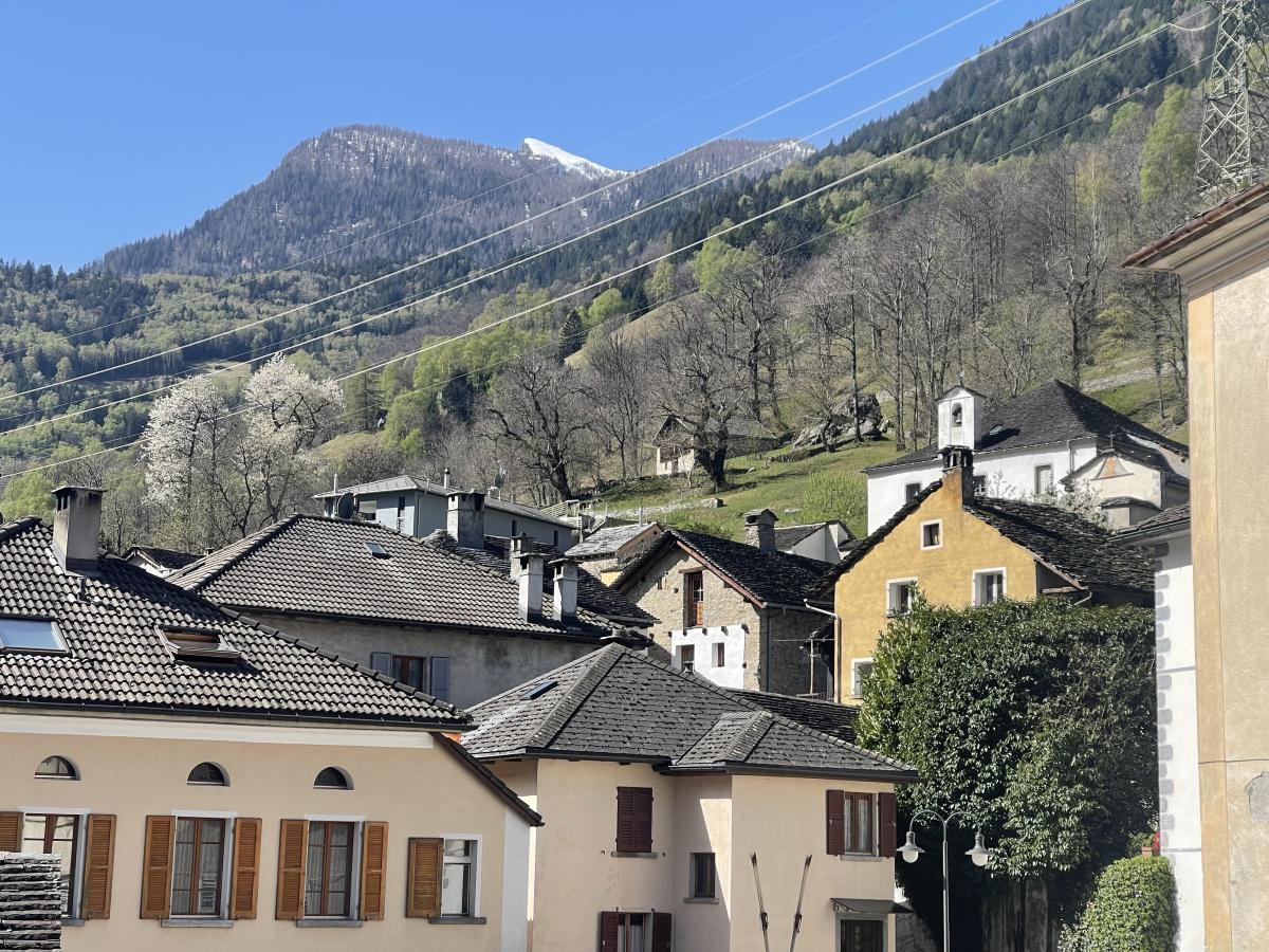 A vendre   Suisse - partenariat avec Smart-Propylaia Portail Immobilier