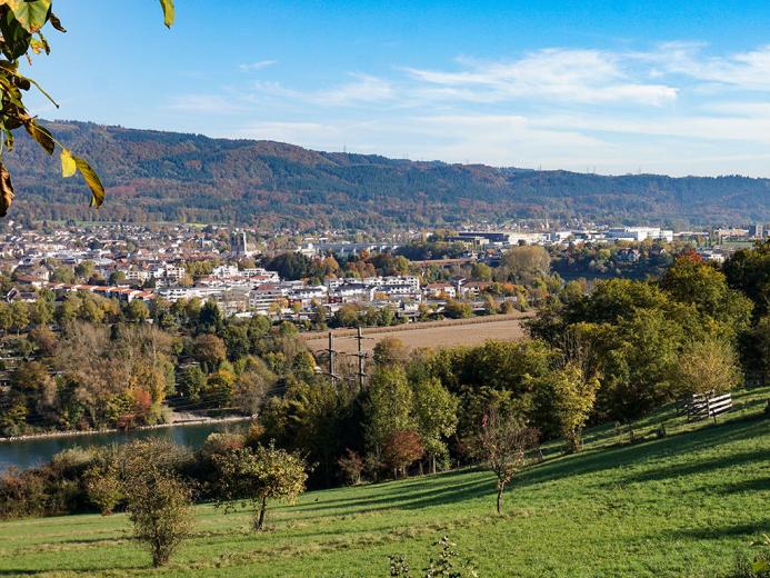 Maison à vendre à Stein AG - Smart Propylaia