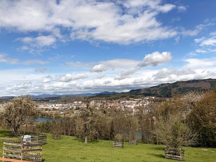 Maison à vendre à Stein AG - STEIN AGGLOMERATION - MAISON CONTIGUË ACCUEILLANTE AVEC JARDIN IDYLLIQUE - Smart Propylaia (3)