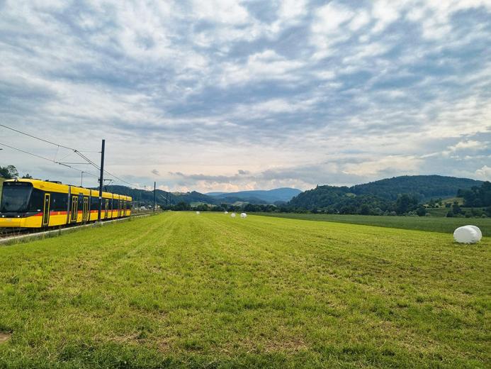 Maison à vendre à Liestal - Smart Propylaia (2)