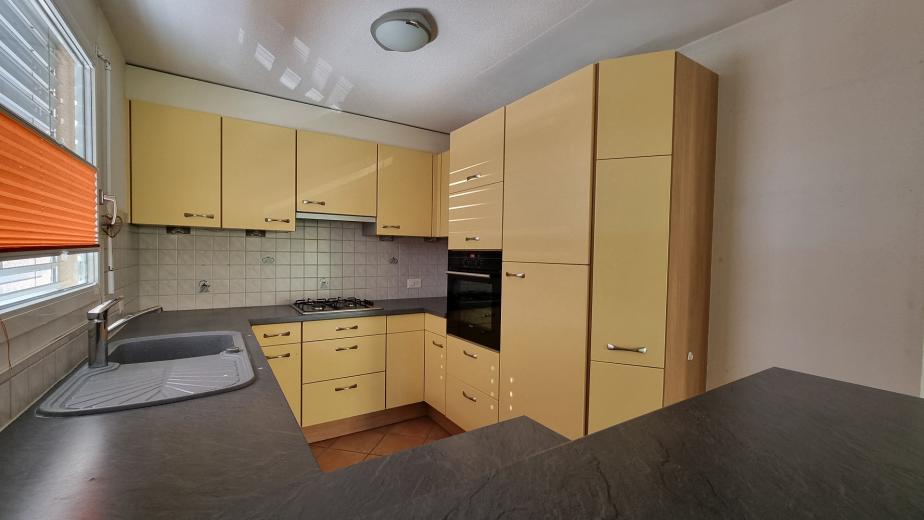 Haus zu verkaufen in Lausanne - Zwillingshaus zu verkaufen in Lausanne, -6.5 Zimmer, 180 m2 - Smart Propylaia (3)