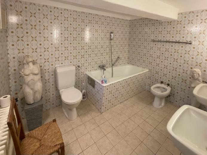 Maison à vendre à Aurigeno - Smart Propylaia (14)