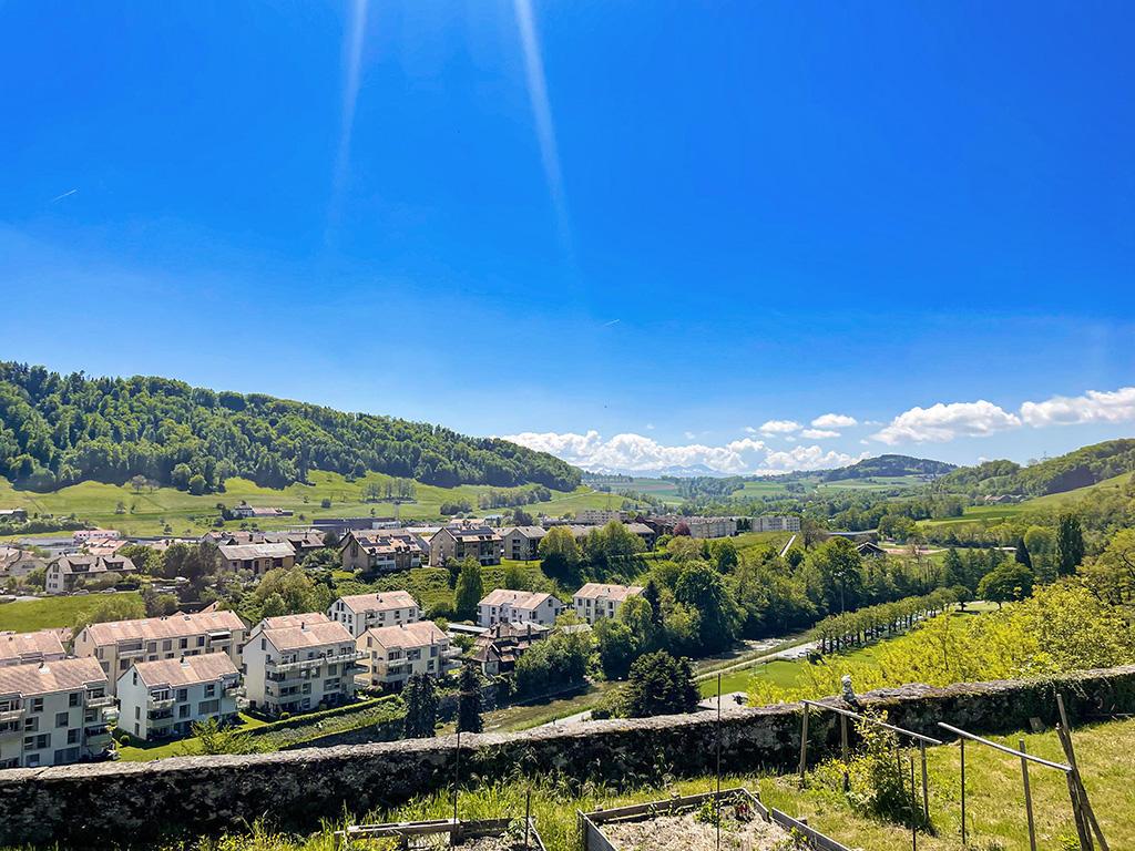 A vendre   Suisse - partenariat avec Smart-Propylaia Portail Immobilier