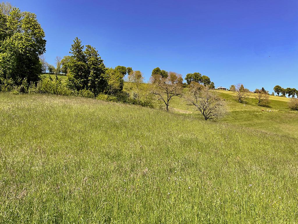 A vendre   Suisse - partenariat avec Smart-Propylaia Portail Immobilier