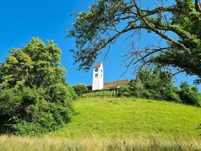 Appartamento in vendita a Aarau - AARAU NORD - BELLISSIMO APPARTAMENTO CON VISTA MERAVIGLIOSA E AMPIA TERRAZZA - Smart Propylaia (3)