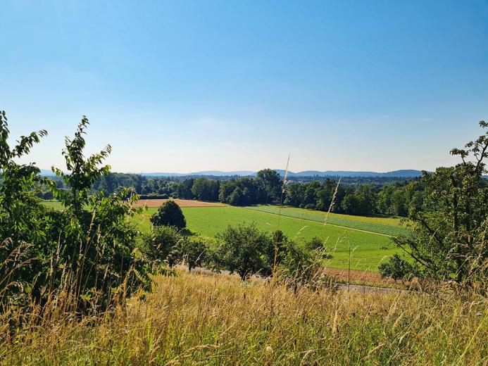 Appartement à vendre à Aarau - Smart Propylaia