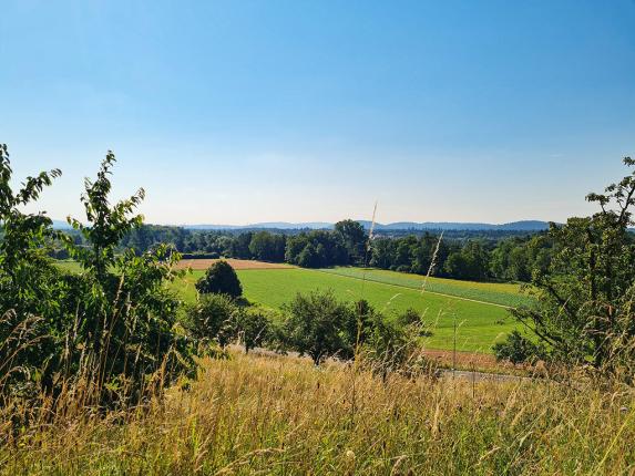 Appartement à vendre à Aarau