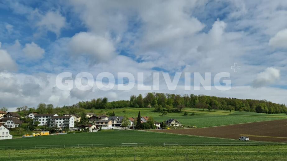 Wohnung zu verkaufen in Egliswil - Smart Propylaia