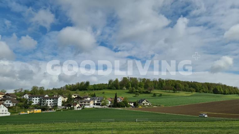 Wohnung zu verkaufen in Egliswil