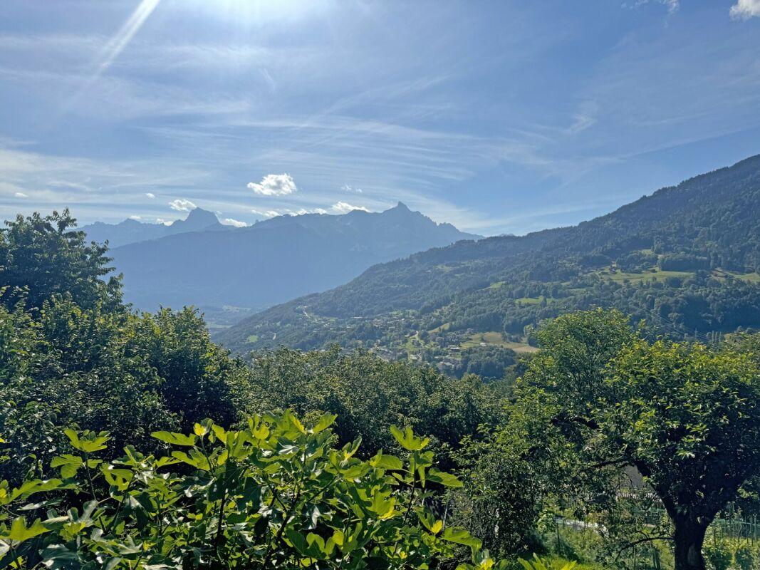 A vendre   Suisse - partenariat avec Smart-Propylaia Portail Immobilier