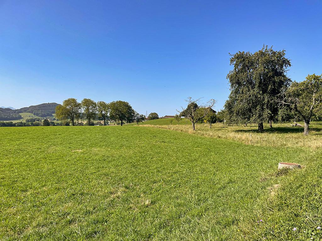 A vendre   Suisse - partenariat avec Smart-Propylaia Portail Immobilier