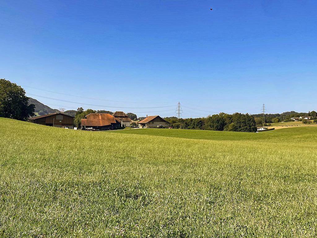 A vendre   Suisse - partenariat avec Smart-Propylaia Portail Immobilier
