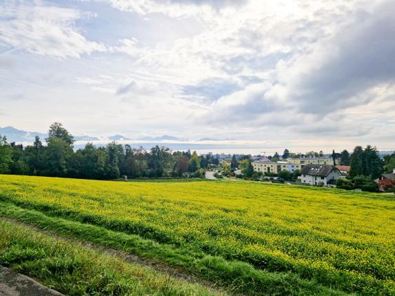 Haus zu verkaufen in Prilly (2)