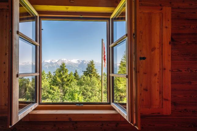 Maison à vendre à Les Mayens-de-Sion (18)