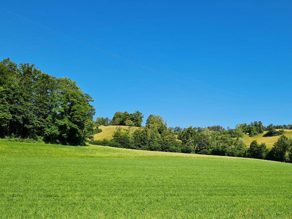 A vendre   Suisse - cChic-immoHub votre portail immobilier