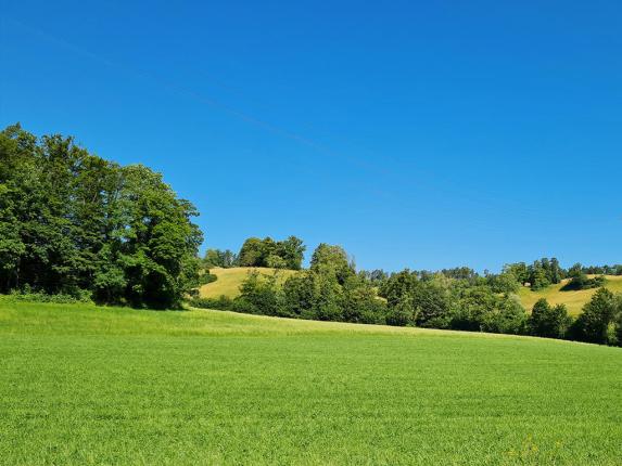 Appartamento in vendita a Aarau (2)