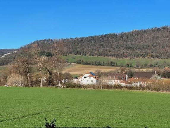 Wohnung zu verkaufen in Courroux (2)