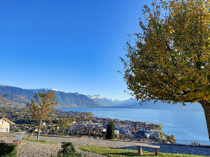 Haus zu verkaufen in Chardonne - Smart Propylaia