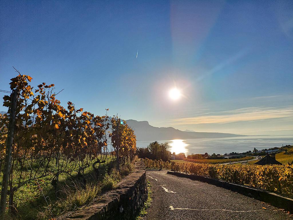 A vendre   Suisse - partenariat avec Smart-Propylaia Portail Immobilier