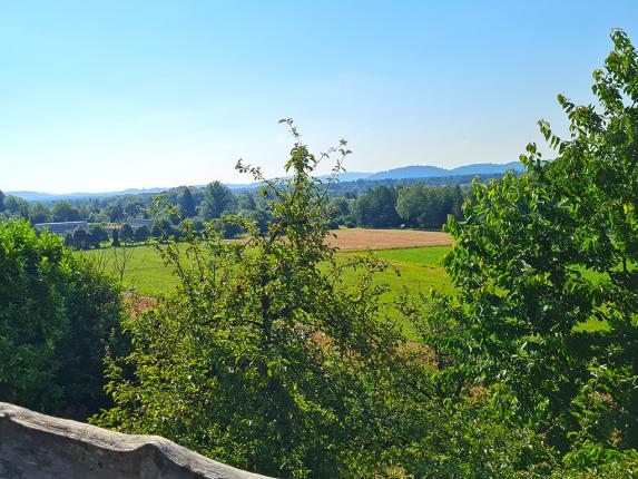 Wohnung zu verkaufen in Biberstein