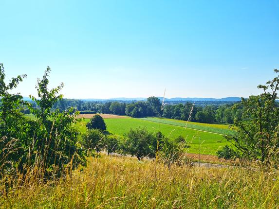 Wohnung zu verkaufen in Biberstein (2)