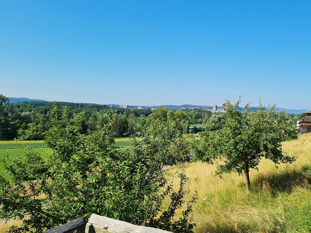 A vendre   Suisse - partenariat avec Smart-Propylaia Portail Immobilier