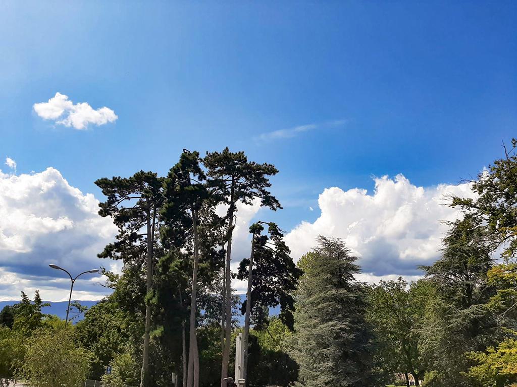 A vendre   Suisse - partenariat avec Smart-Propylaia Portail Immobilier