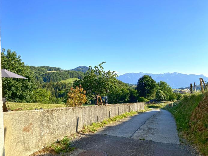 Wohnung zu verkaufen in Châtel-St-Denis - Smart Propylaia