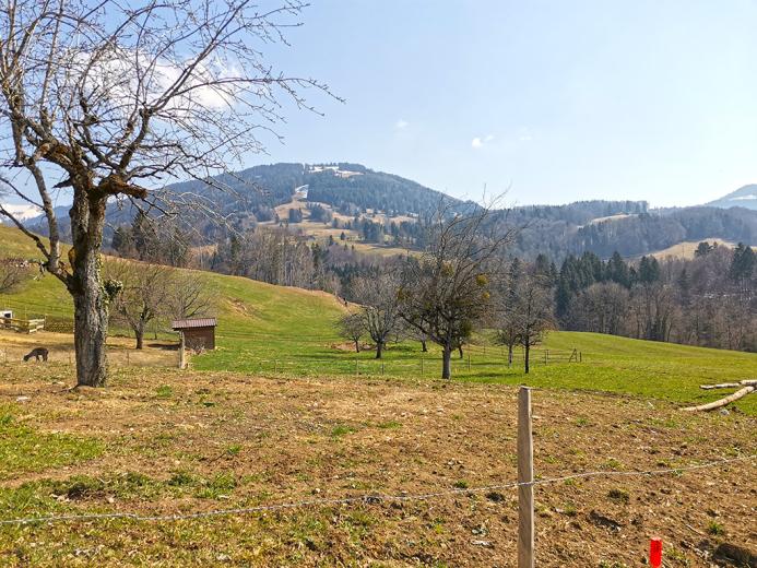 Wohnung zu verkaufen in Châtel-St-Denis - Smart Propylaia (2)