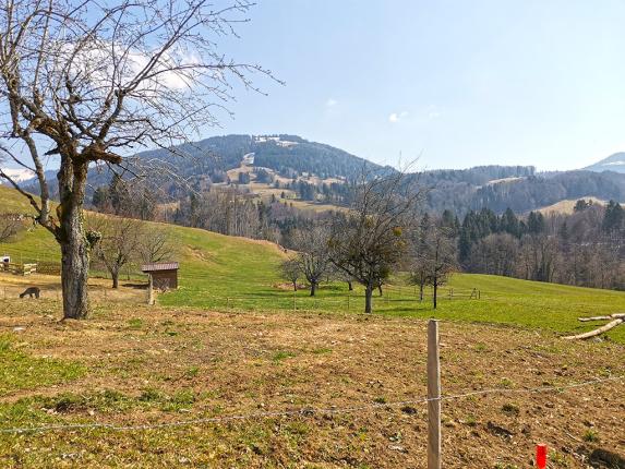 Appartamento in vendita a Châtel-St-Denis (2)