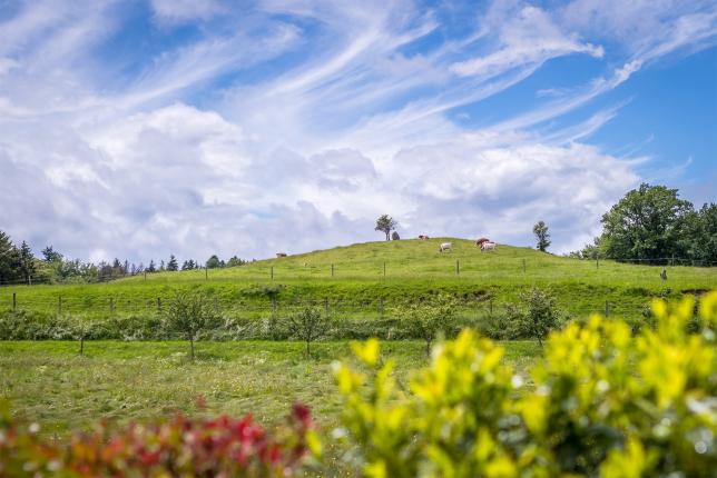 Haus zu verkaufen in Gimel (27)