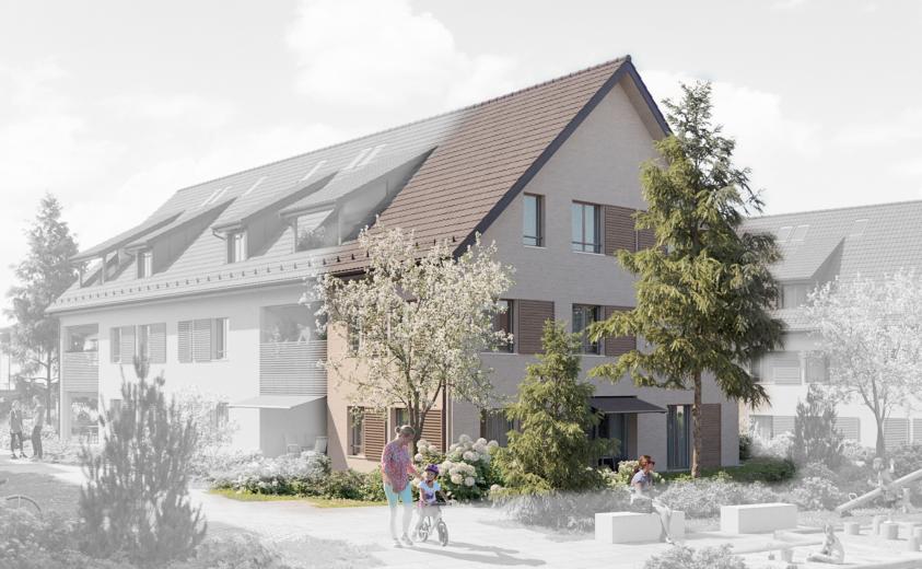 Zu verkaufen Einfamilienhaus Birr Schweiz - Schweiz - cChic-immoHub Ihr Immobilienportal