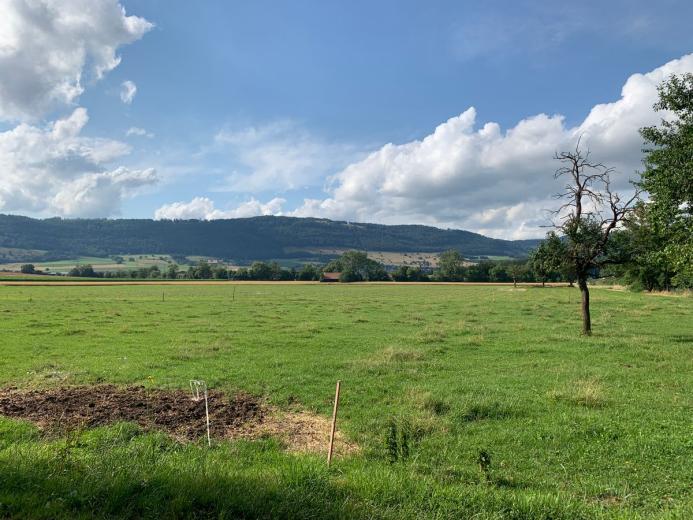 Terrain à vendre à Bassecourt - Terrain à bâtir en bordure de zone agricole à Bassecourt - Smart Propylaia (3)