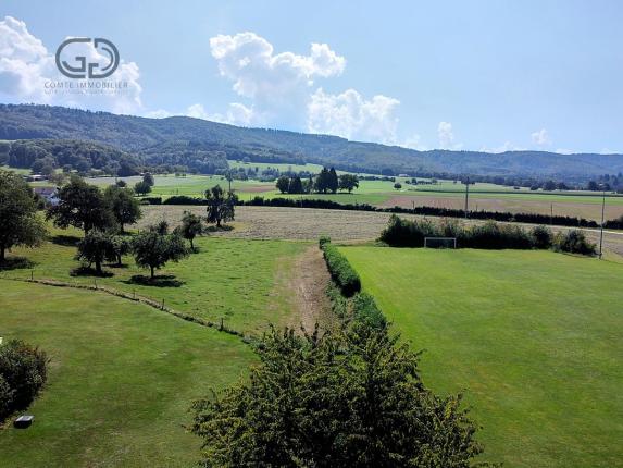 Maison à vendre à Courgenay (13)