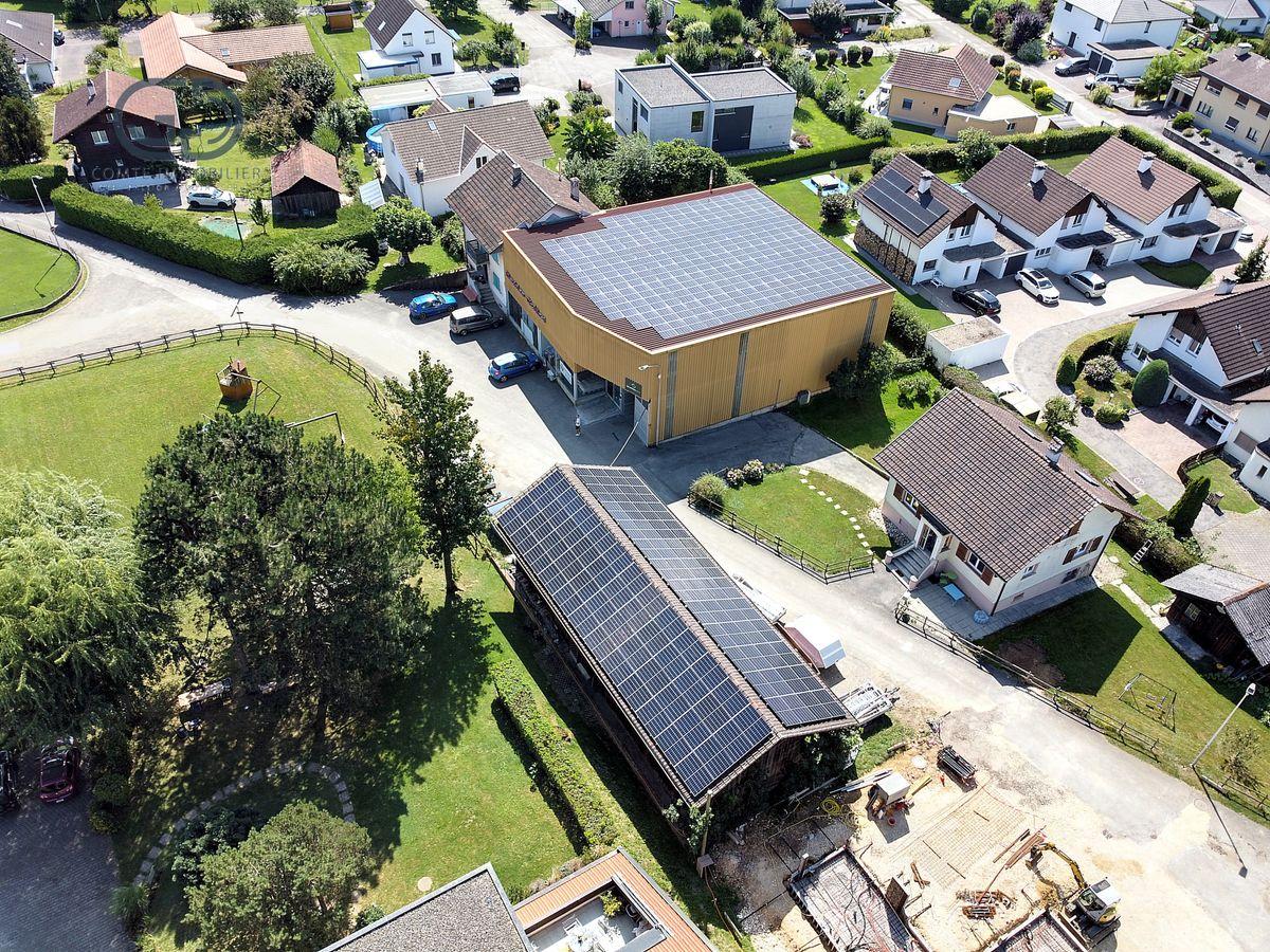 A vendre   Suisse - partenariat avec Smart-Propylaia Portail Immobilier