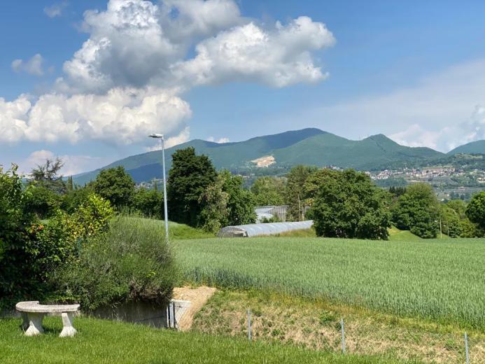 Casa in affitto a Novazzano - Smart Propylaia (10)