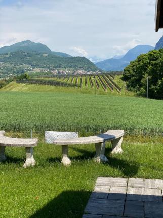 Casa in affitto a Novazzano (16)