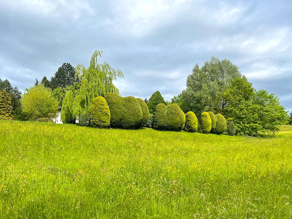 A vendre   Suisse - partenariat avec Smart-Propylaia Portail Immobilier