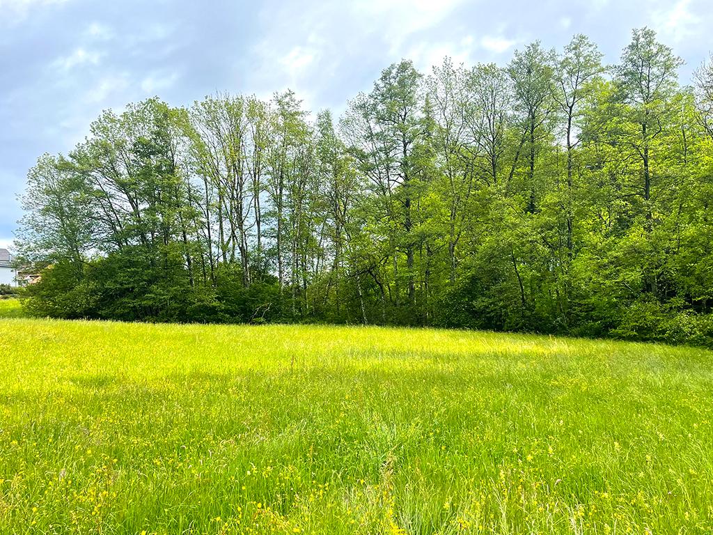 A vendre   Suisse - partenariat avec Smart-Propylaia Portail Immobilier