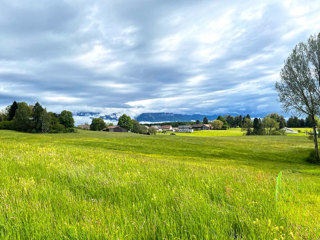 A vendre   Suisse - partenariat avec Smart-Propylaia Portail Immobilier