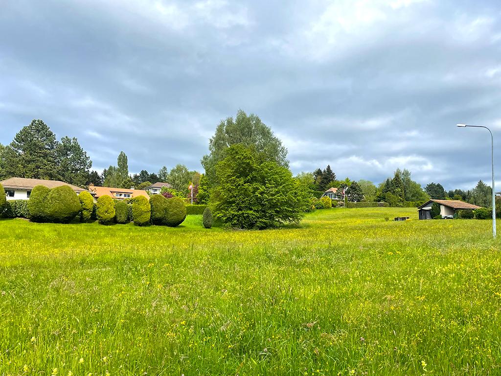 A vendre   Suisse - partenariat avec Smart-Propylaia Portail Immobilier
